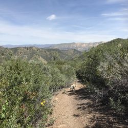 Davy Brown Campground