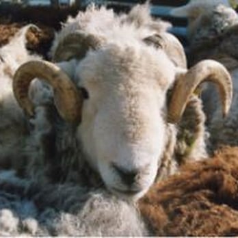 Fornside Farm Self Catering Cottages - Vacation Rentals Near Me - Keswick, CMA
