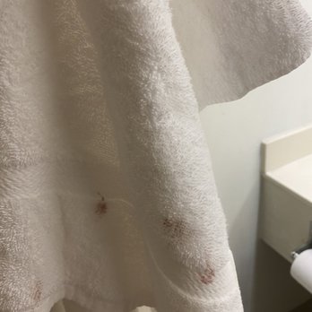 Baymont by Wyndham Jackson/Ridgeland - Stained dirty towel that was folded on towel rack - Hotels Near Me - Jackson, Mississippi Baymont by Wyndham Jackson/Ridgeland - Stained dirty towel that was folded on towel rack - Hotels Near Me - Jackson, Mississippi