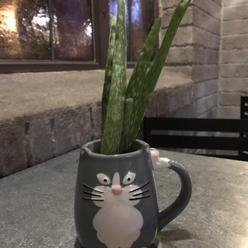 Taco Guild - Happy Caturday - Bars Near Me - Phoenix, Arizona Taco Guild - Happy Caturday - Bars Near Me - Phoenix, Arizona