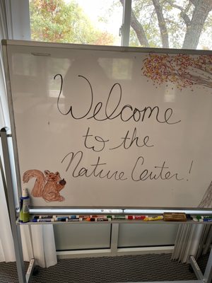 Lake Saint Clair Metropark by null