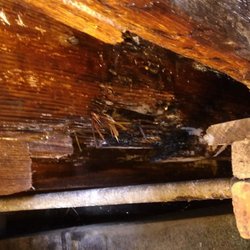 PDK House Leveling and Foundation Repair