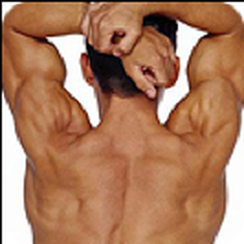 Renton Spine Clinic - Chiropractors Near Me - Renton, Washington Renton Spine Clinic - Chiropractors Near Me - Renton, Washington