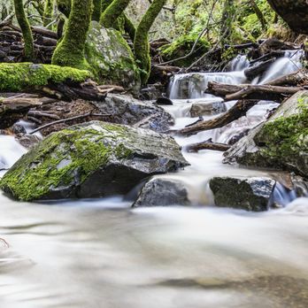 Indian Valley Open Space Preserve - Parks Near Me - Novato, California