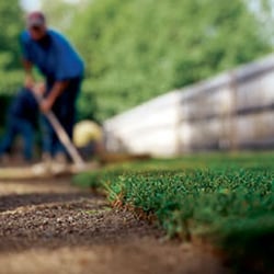 Ground Source - Sod Installation Orlando