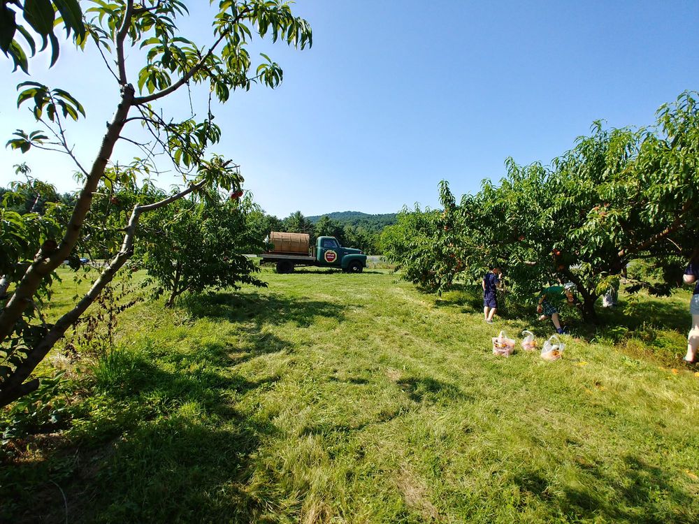 HARTLAND ORCHARD 79 Photos & 77 Reviews Fruits & Veggies 3064