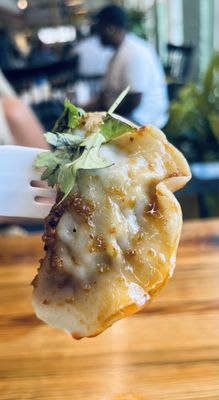 The Dumpling Lady by null