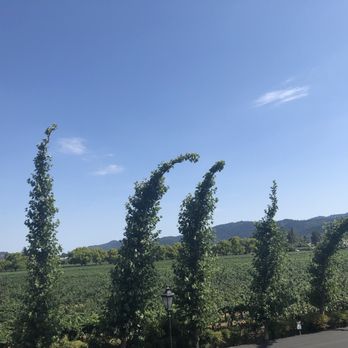 Peju Winery - Wine Tasting Room Near Me - Rutherford, California Peju Winery - Wine Tasting Room Near Me - Rutherford, California