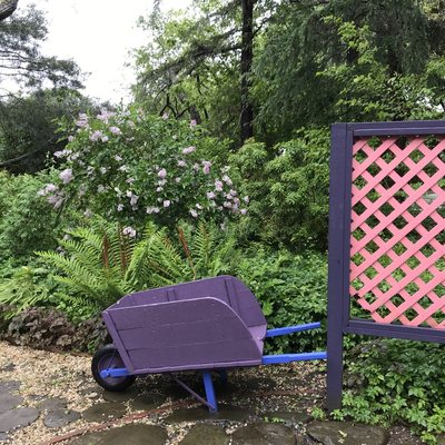 The Madoo Conservancy by null