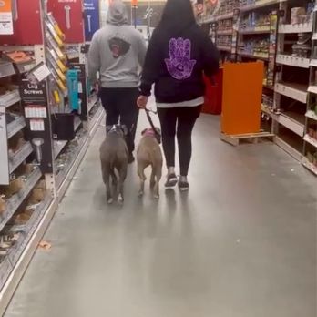 BarkSide Dog Training - Pet Training Near Me BarkSide Dog Training - Pet Training Near Me