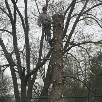 Nice Guys Landscaping - Tree removal services . - Tree Services Near Me