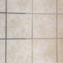 Safari Carpet Cleaning