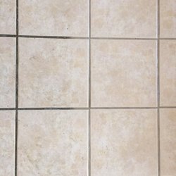 Safari Carpet Cleaning