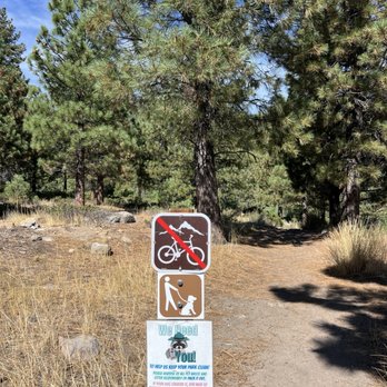 Galena Creek Visitor Center - 9/7/24 FYI - Visitor Centers Near Me - Reno, Nevada Galena Creek Visitor Center - 9/7/24 FYI - Visitor Centers Near Me - Reno, Nevada