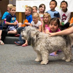 Bethel Home - Part of our Noah's Landing program is Daisy, our resident pet therapy dog. A hit with the kids as well as our Elders