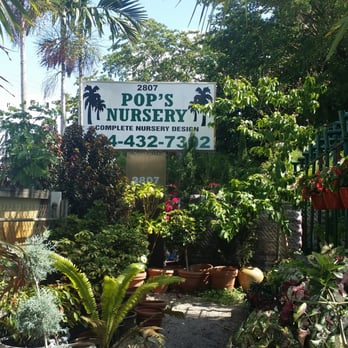 Pop's Nursery - Inconspicuous signage - Nurseries & Gardening Near Me - Hollywood, Florida Pop's Nursery - Inconspicuous signage - Nurseries & Gardening Near Me - Hollywood, Florida
