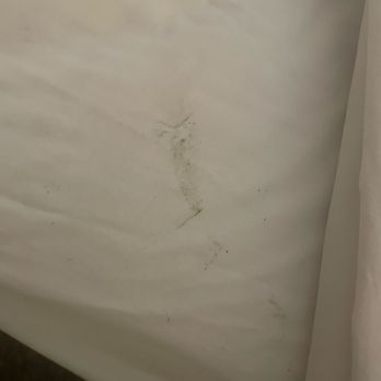 Hampton Inn Oneonta - The stain on our bed sheets - Hotels Near Me - Oneonta, New York Hampton Inn Oneonta - The stain on our bed sheets - Hotels Near Me - Oneonta, New York