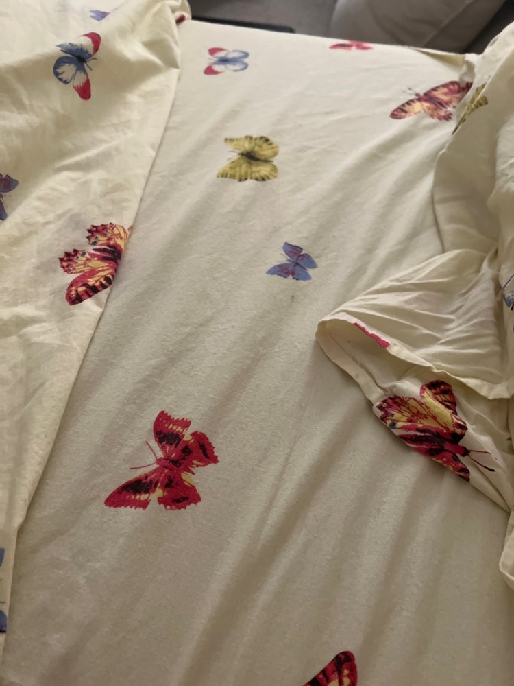 LEARNING EXPRESS TOYS 4209 Lassiter Mill Rd, Raleigh, North Carolina