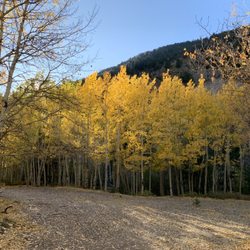 Silver Dale Interpretive Site
