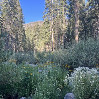 Lodgepole Campground - Campgrounds Near Me - Three Rivers, California Lodgepole Campground - Campgrounds Near Me - Three Rivers, California