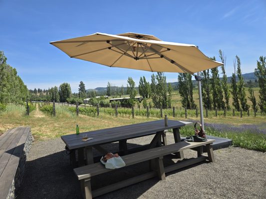Analemma Wines by null