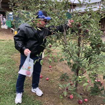 Hillcrest Orchards - Action shot! - Farmers Market Near Me - Ellijay, Georgia Hillcrest Orchards - Action shot! - Farmers Market Near Me - Ellijay, Georgia