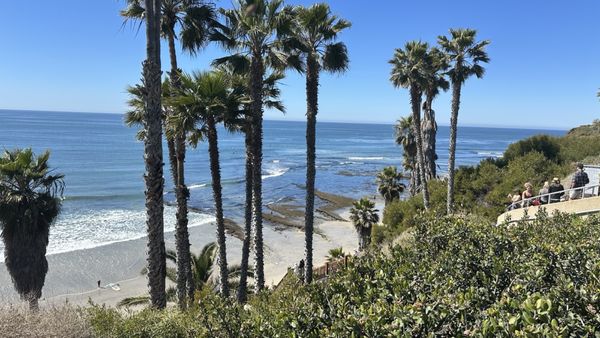 Swamis Seaside Park by null
