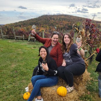 Vineyard Voyages - Wine Tours Near Me - Falls Church, Virginia