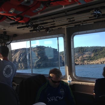 Outer Island Expeditions - Beginning our search for some orcas! - Fishing Near Me - Eastsound, Washington