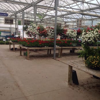 Thome Farms Greenhouse - Nurseries & Gardening Near Me - Elyria, Ohio Thome Farms Greenhouse - Nurseries & Gardening Near Me - Elyria, Ohio