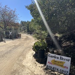 Jodan Farms Nursery
