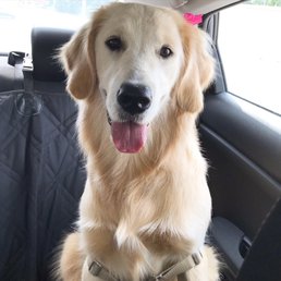 After a bath, ear clean, and nail trim