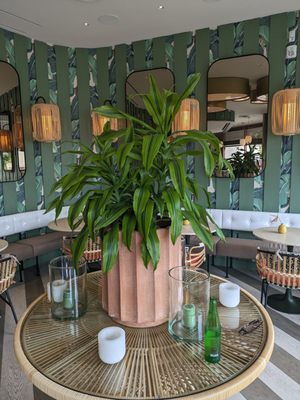 DODO BIRD Donuts by null