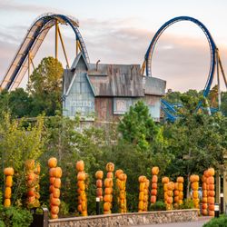 Dollywood Vacations
