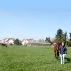 Reiterhof Messerschmidt - Reitanlage, Pferdehaltung, Reitunterricht und Gaststätte auf Pferdehof Messerschmidt in Altenstadt/Hessen
