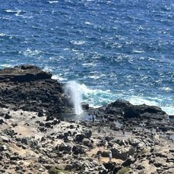 NIJJI Taxi - Huge blowhole