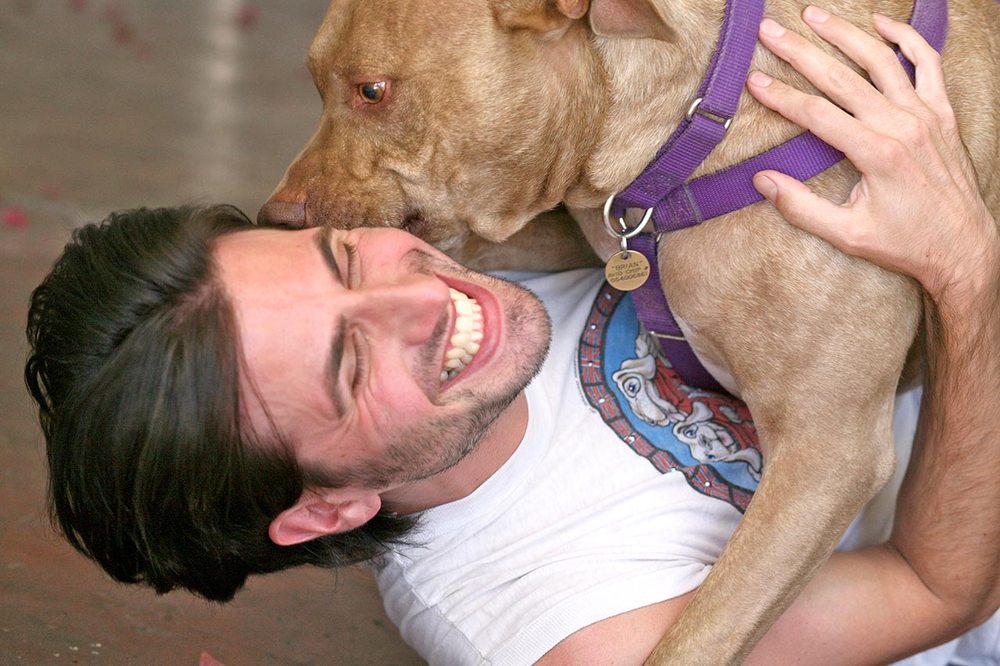 Karma Dog Training - pet boarding facility in San Diego, CA