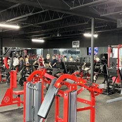 Promuscle Lifting Club - State of the art layout