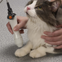 Kentwood Cat Clinic