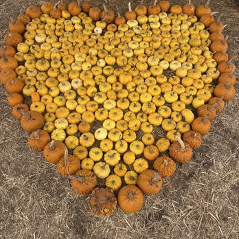 Pumpkin & Polar Palooza - Pumpkin Patches Near Me - Carlsbad, California Pumpkin & Polar Palooza - Pumpkin Patches Near Me - Carlsbad, California