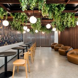 Cafe 295