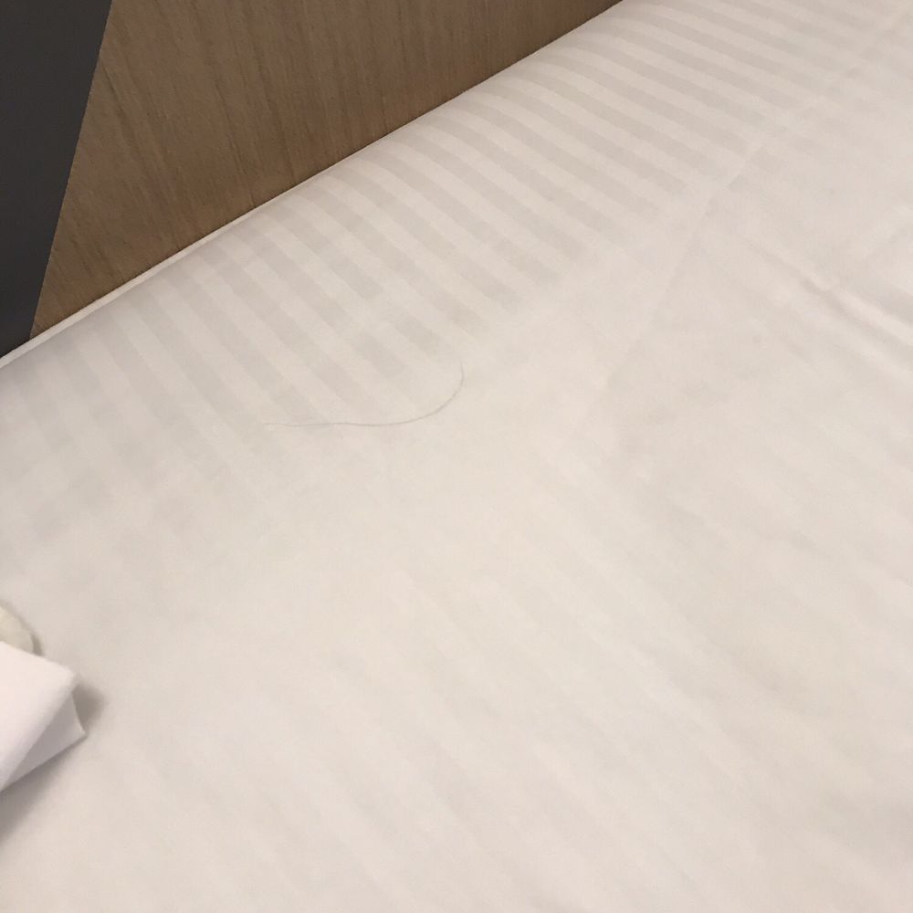 The Nest Hotel - Hair in bed - Hotels Near Me - Rapid City, South Dakota