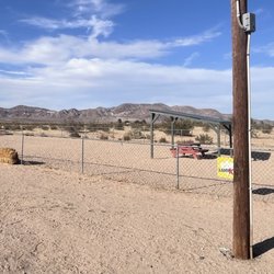 Koa-Barstow - Dog park