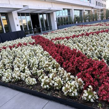 JW Marriott, Anaheim Resort - Hotels Near Me - Anaheim, California