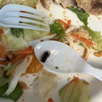 Calif Chicken Cafe - Chinese Chicken Salad - Salad Near Me - Los Angeles, California