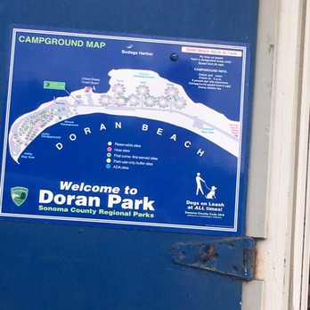 Doran Regional Park - Parks Near Me - Bodega Bay, California Doran Regional Park - Parks Near Me - Bodega Bay, California