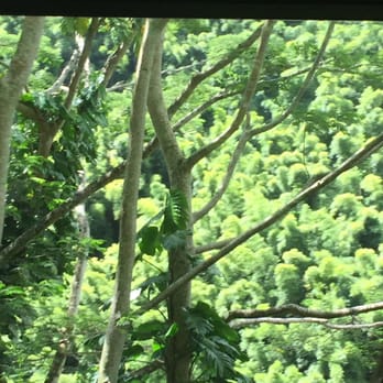 Roberts Hawaii - Bus Tours Near Me - Kahului, Hawaii Roberts Hawaii - Bus Tours Near Me - Kahului, Hawaii