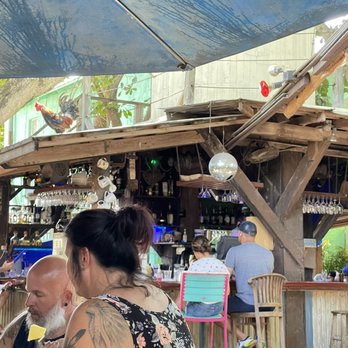 Blue Heaven - Rooster ruling from atop the bar - Breakfast & Brunch Near Me - Key West, Florida