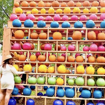 The Floral Escape - Festivals Near Me - Floral Park, New York The Floral Escape - Festivals Near Me - Floral Park, New York