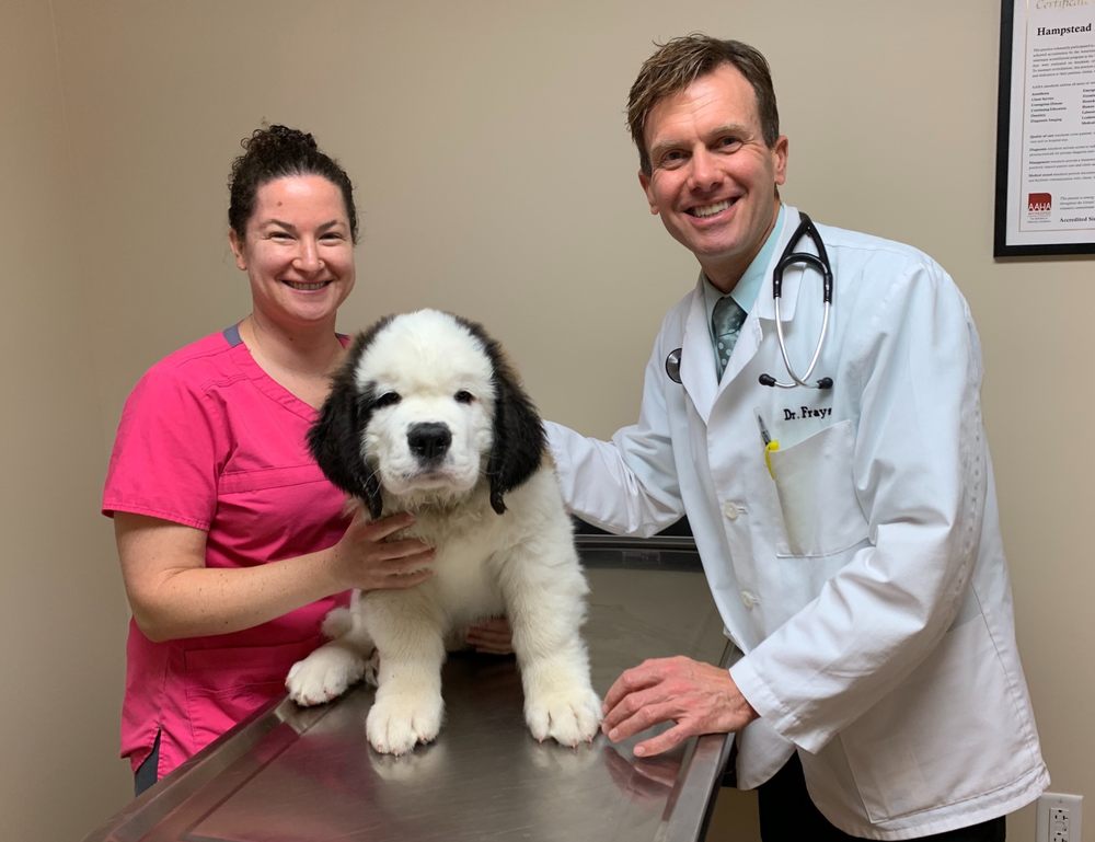 HAMPSTEAD ANIMAL HOSPITAL Updated August 2024 23 Photos & 16